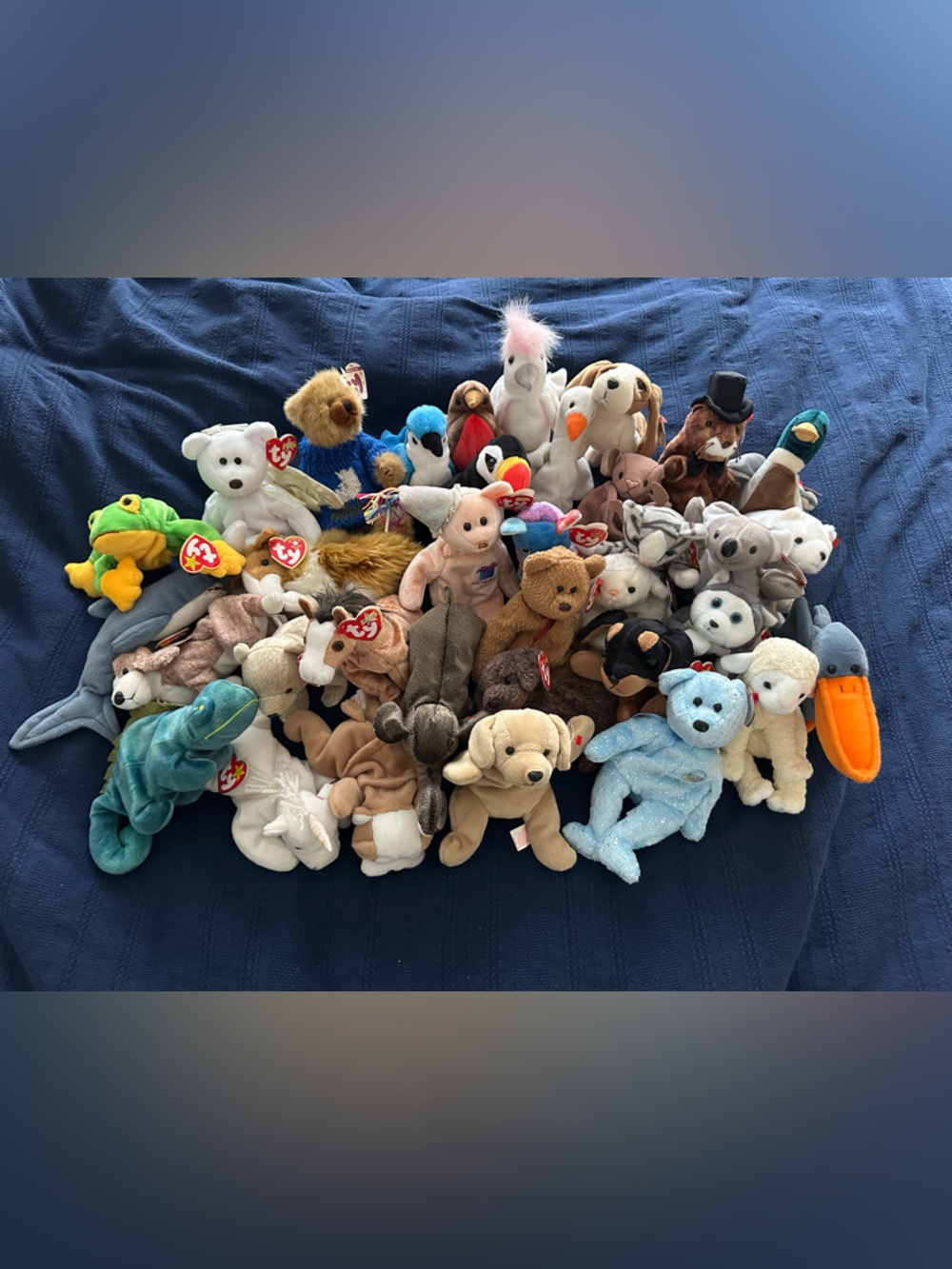 35 Ty Beanie Babies Plush Collection - Bears, Dogs, Birds and More